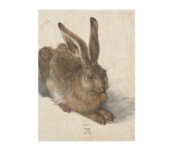 Cahier d'artiste, Dürer, Lièvre