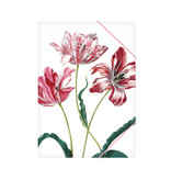 Paper file folder with elastic closure, Merian, Three tulips