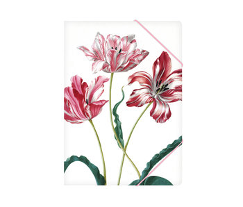 Carpeta archivadora de papel con cierre elástico, A4, Merian, tres tulipanes