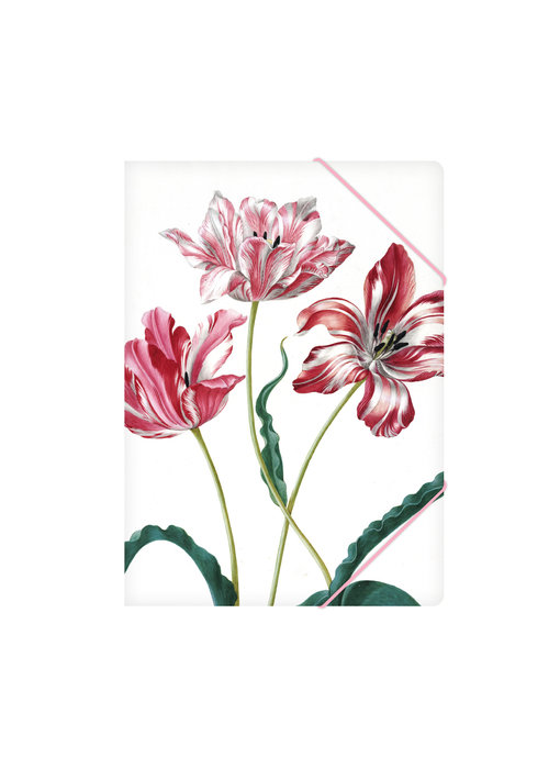 Paper file folder with elastic closure,A4, Merian, Three tulips