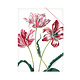 Carpeta archivadora de papel con cierre elástico, A4, Merian, tres tulipanes