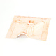 Lens cloth, 15 x 15 cm, Da Vinci, Vitruvian Man