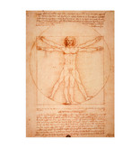 Carte postale, Da Vinci,  l'homme de Vitruve