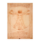 Postcard,  Da Vinci, Vitruvian Man