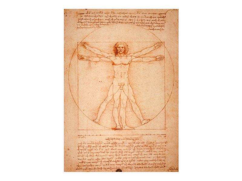 Carte postale, Da Vinci,  l'homme de Vitruve