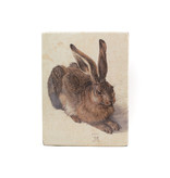 Masters-on-wood, Dürer, Hare,  265 x 195mm