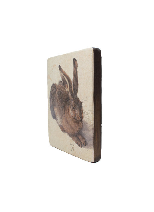 Masters-on-wood, Dürer, Hare