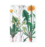 Cuaderno de tapa blanda, A5,  Diente de león, Hortus Botanicus