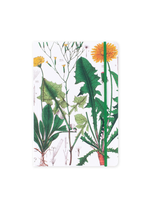 Cuaderno de tapa blanda, A5,  Diente de león, Hortus Botanicus