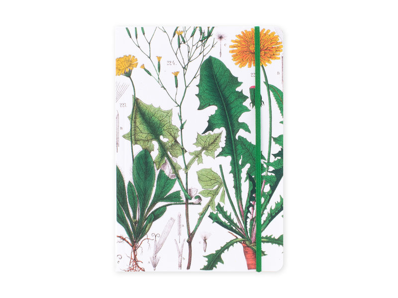 Cuaderno de tapa blanda, A5,  Diente de león, Hortus Botanicus