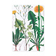 Cuaderno de tapa blanda, A5,  Diente de león, Hortus Botanicus