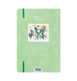 Cuaderno de tapa blanda, A5,  Diente de león, Hortus Botanicus
