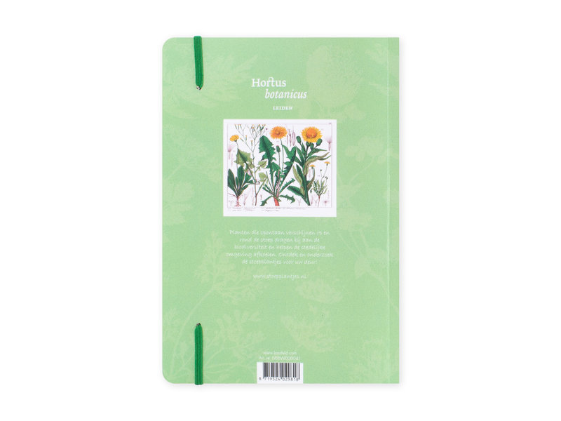 Softcover Book, A5,  Dandelion, Hortus Botanicus