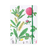 Softcover Book, A5,  Red clover flower, Hortus Botanicus