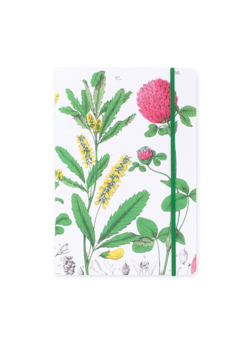 Softcover Book, A5, Red clover flower,  Hortus Botanicus