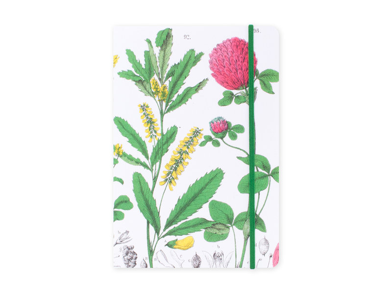 Softcover Book, A5,  Red clover flower, Hortus Botanicus