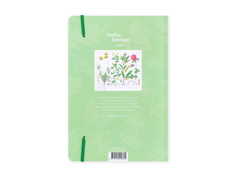 Cuaderno de tapa blanda, A5, Flor de trébol rojo, Hortus Botanicus