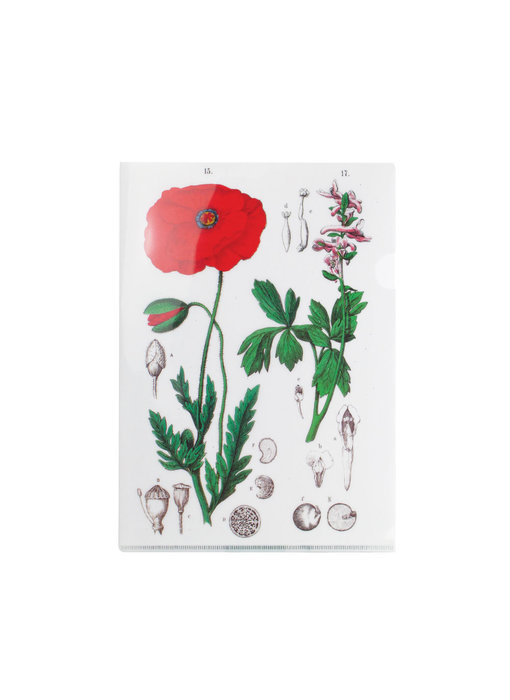 File Sheet A4, Klaproos, Hortus Botanicus