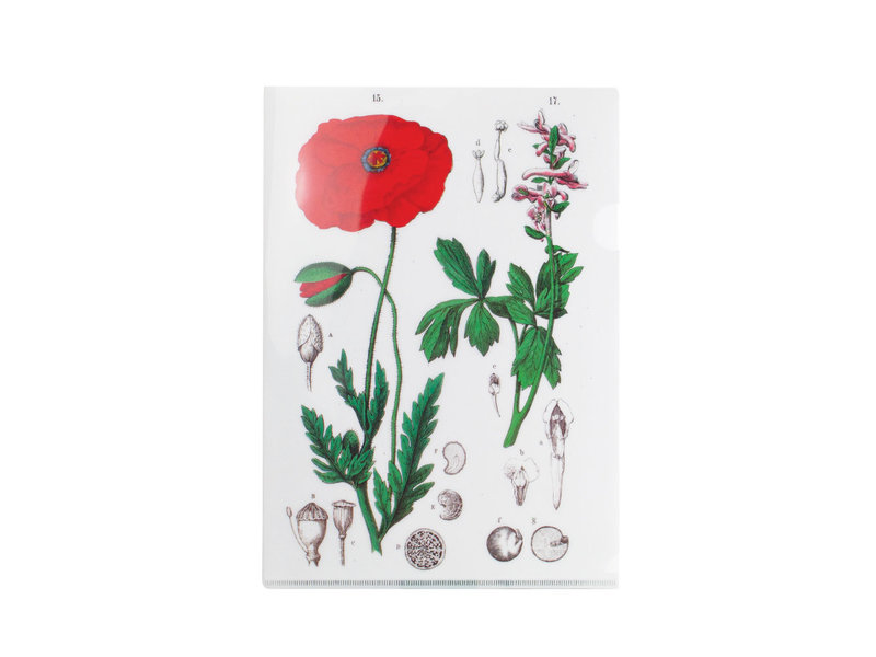 File Sheet A4, Poppy, Hortus Botanicus