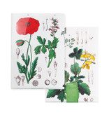 File Sheet A4, Poppy, Hortus Botanicus