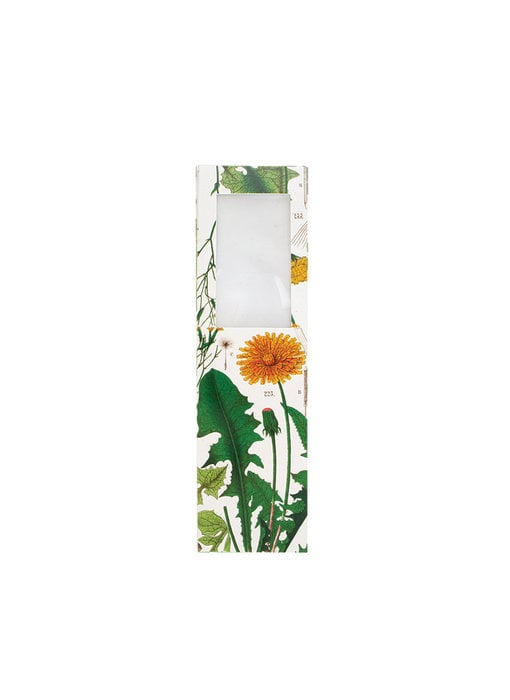 Magnifying Bookmark, Dandelion , Hortus Botanicus