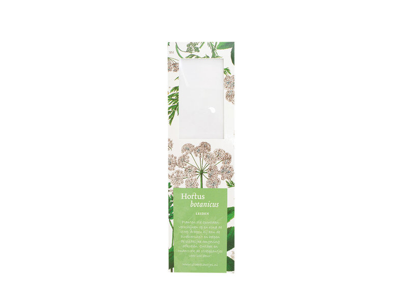 Magnifying Bookmark, Elderberry, Hortus Botanicus