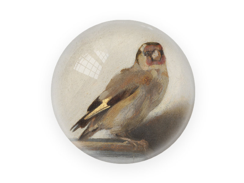 Glass Dome/Paperweight, Goldfinch, Carel Fabritius