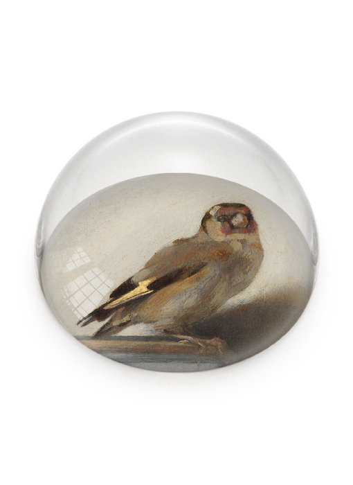 Glass Dome,  Goldfinch, Carel Fabritius