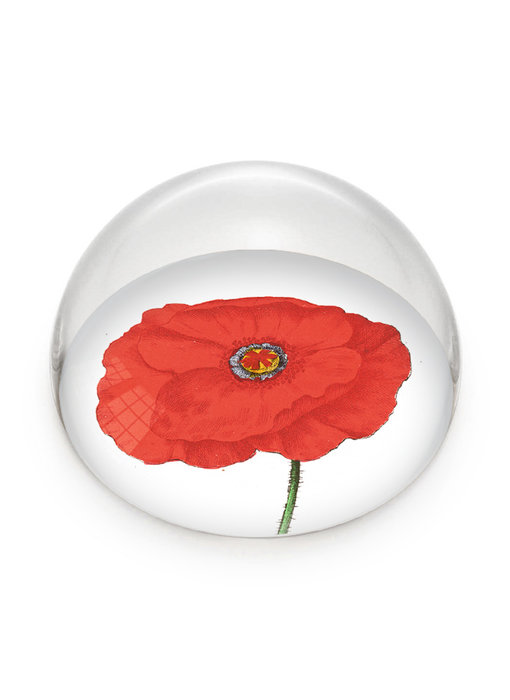 Glass Dome,  Poppy, Hortus Botanicus