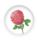Glass Dome/Paperweight, Red clover flower,  Hortus Botanicus