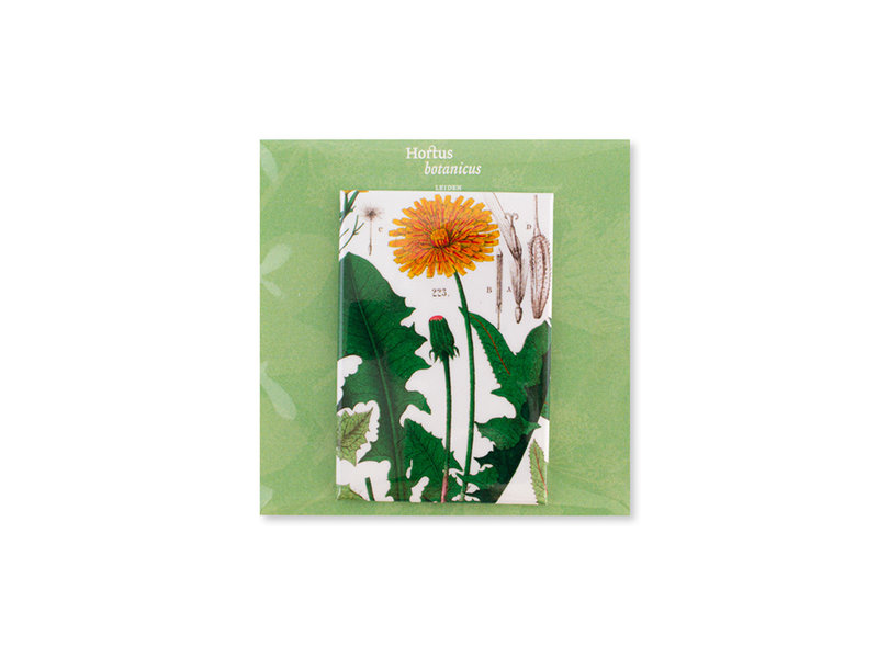 Fridge Magnet, Dandelion , Hortus Botanicus