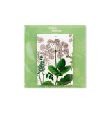 Fridge Magnet, Elder Leaf, Hortus Botanicus