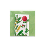 Fridge Magnet, Red clover flower,  Hortus Botanicus