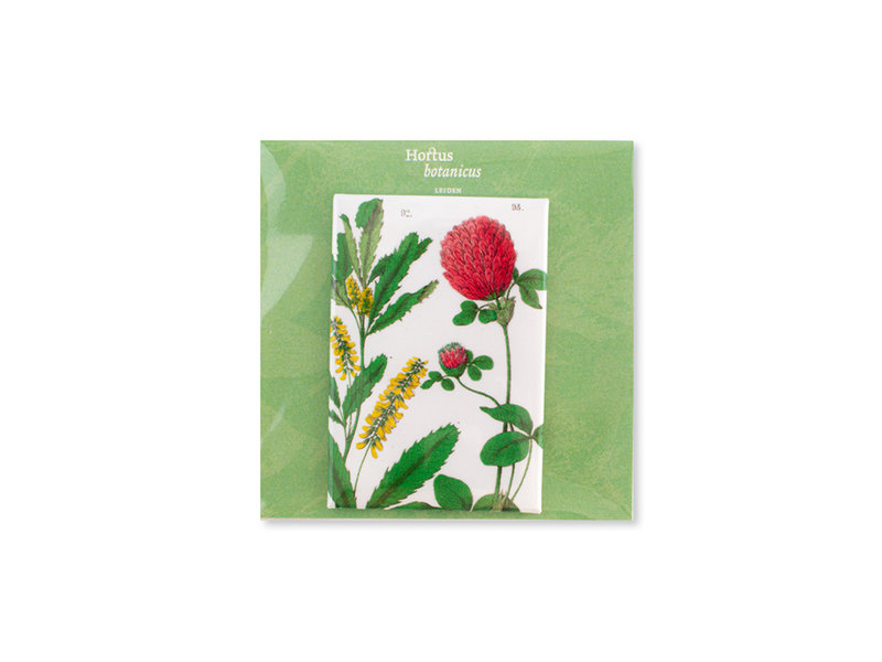 Magnet pour frigo,   Fleur de trèfle rouge, Hortus Botanicus