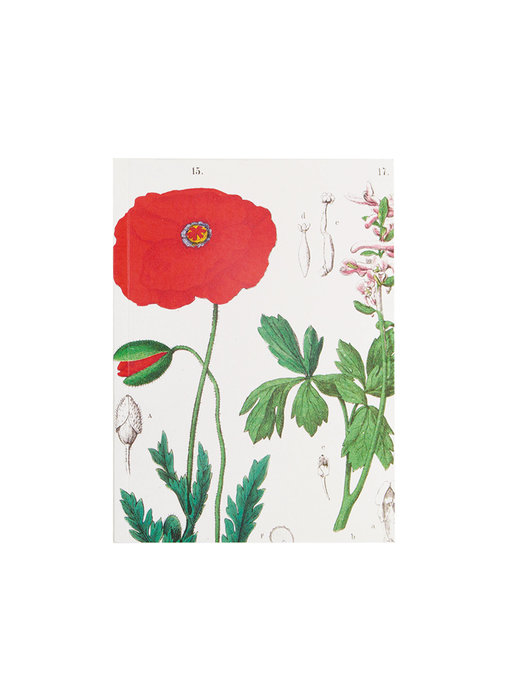 Cahier d'exercices, A5,  Coquelicot, Hortus Botanicus