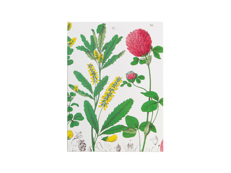 Glued Exercise book , A5, Red clover flower,  Hortus Botanicus