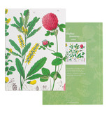 Glued Exercise book , A5, Red clover flower,  Hortus Botanicus