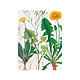 Glued Exercise book , A5,Dandelion , Hortus Botanicus