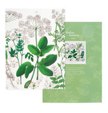 Glued Exercise book , A5, Elderberry, Hortus Botanicus