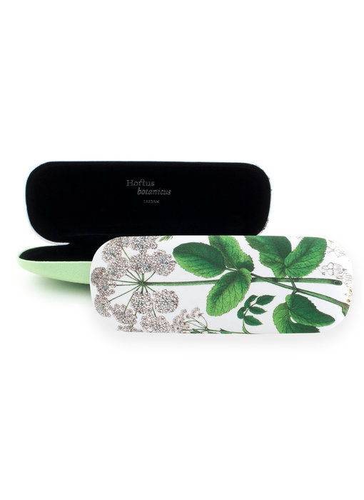 Spectacle Case, Elderberry, Hortus Botanicus