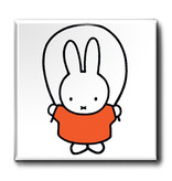 Aimants, lot de 3, Miffy joue