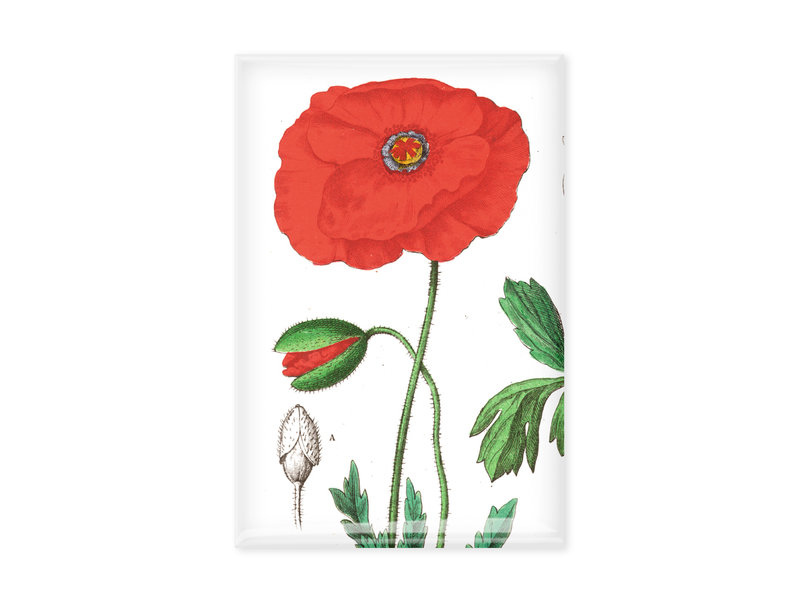 Fridge Magnet, Poppy, Hortus Botanicus