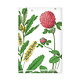 Fridge Magnet, Red clover flower,  Hortus Botanicus