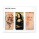 3er-Set, magnetisches Lesezeichen, Leonardo Da Vinci