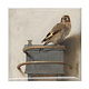 Aimant pour réfrigérateur, Le Chardonneret, Fabritius