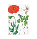 Geschirrtuch, Mohn, Hortus Botanicus