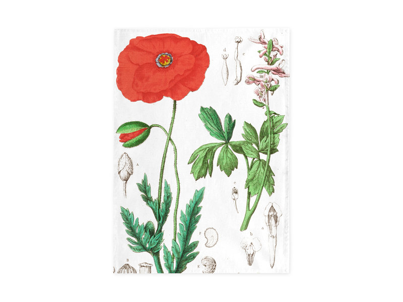 Geschirrtuch, Mohn, Hortus Botanicus