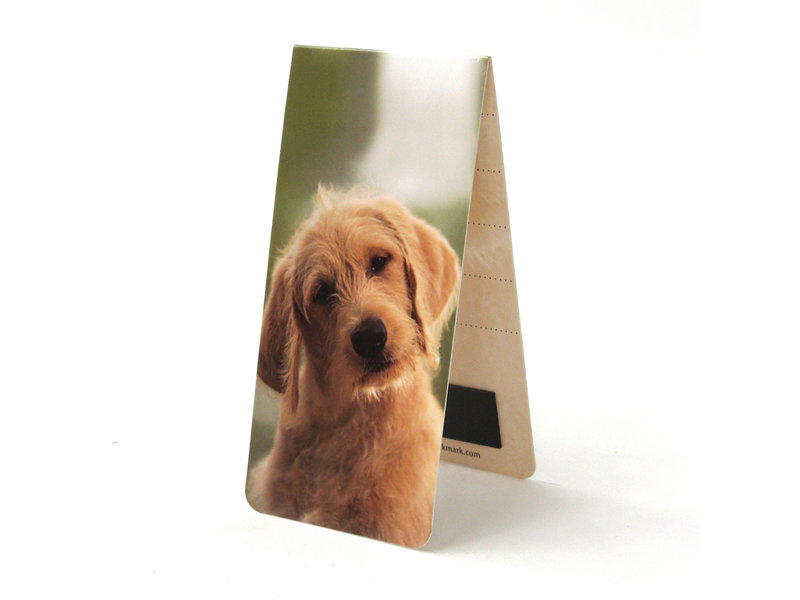 Set of 3, Magnetic bookmark, Pets