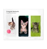 Set of 3, Magnetic bookmark, Kittens