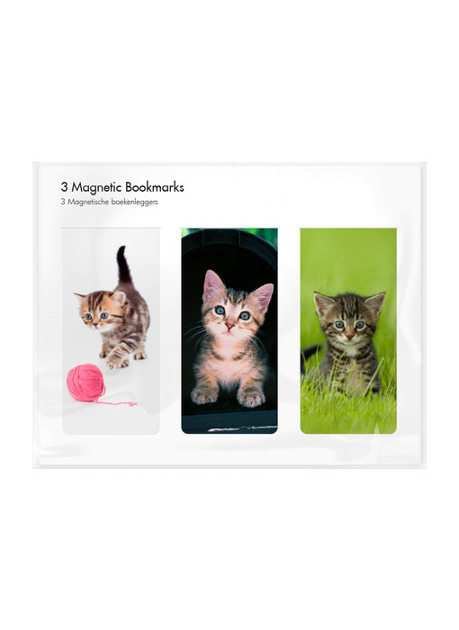 Set of 3, Magnetic bookmark, Kittens